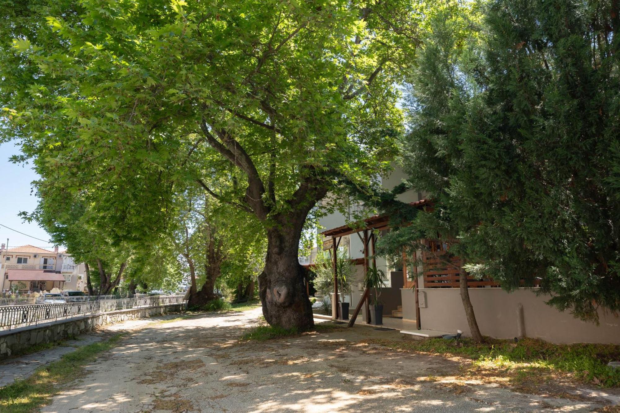 Kipos Resort Néa Péramos Exteriér fotografie